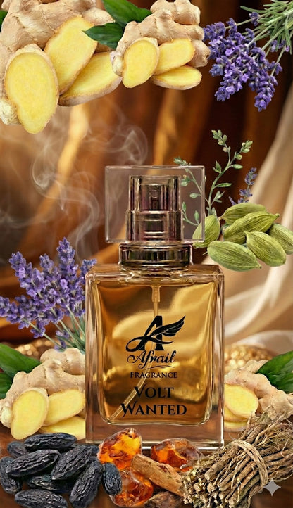 VOLT WANTED By Afrail Fragrances  Built for Desire. Driven by Confidence.